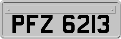 PFZ6213