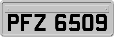 PFZ6509
