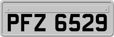 PFZ6529