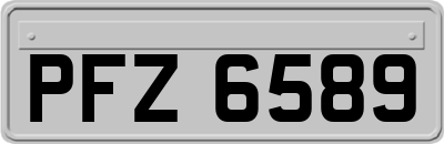PFZ6589