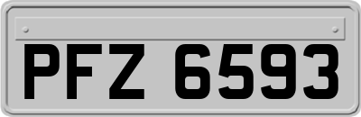 PFZ6593