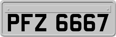 PFZ6667