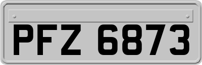 PFZ6873