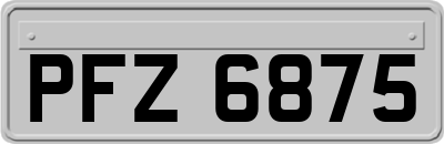 PFZ6875