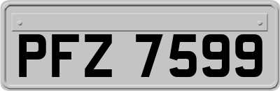 PFZ7599