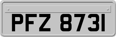 PFZ8731