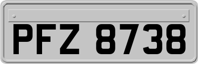 PFZ8738