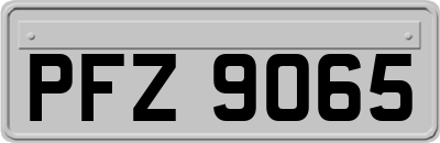 PFZ9065
