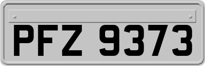 PFZ9373