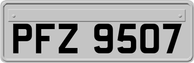 PFZ9507