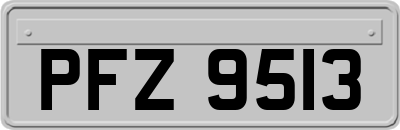 PFZ9513