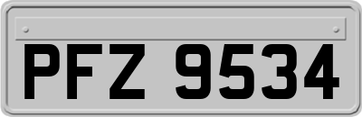 PFZ9534
