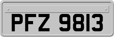 PFZ9813