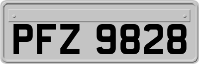 PFZ9828