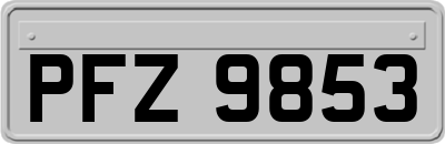 PFZ9853