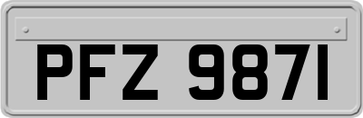 PFZ9871