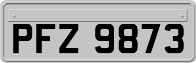 PFZ9873
