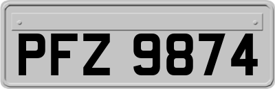 PFZ9874