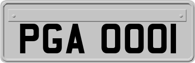PGA0001