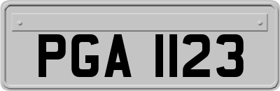 PGA1123