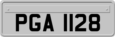 PGA1128