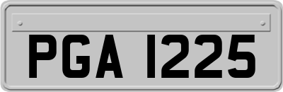 PGA1225