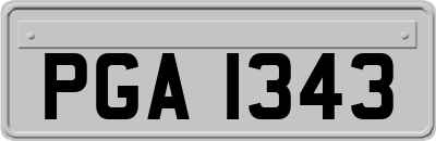 PGA1343