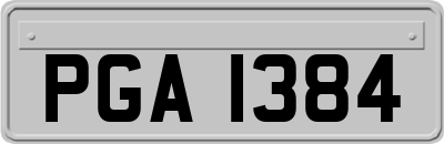 PGA1384