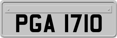 PGA1710