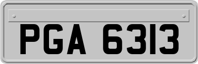 PGA6313