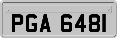 PGA6481