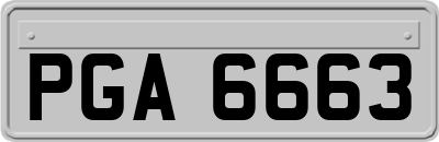 PGA6663