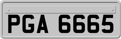 PGA6665