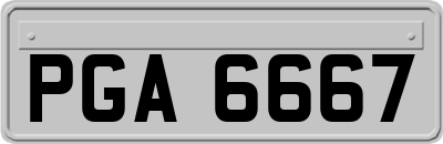 PGA6667