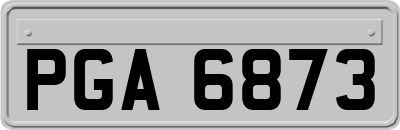 PGA6873
