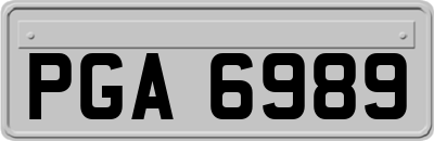 PGA6989