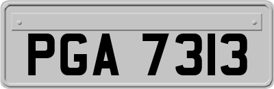 PGA7313