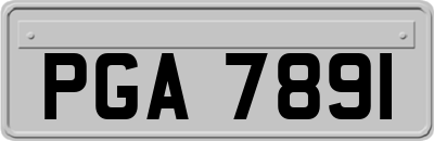 PGA7891
