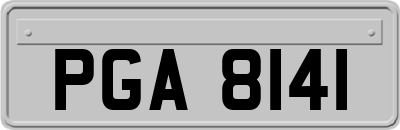 PGA8141