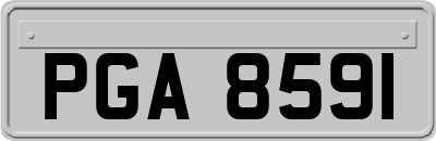 PGA8591