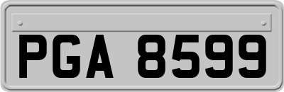 PGA8599