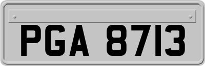 PGA8713