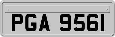 PGA9561