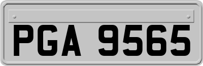 PGA9565