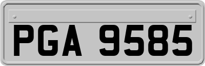 PGA9585