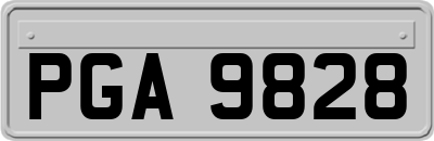 PGA9828