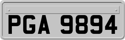 PGA9894