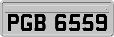 PGB6559