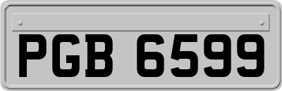 PGB6599