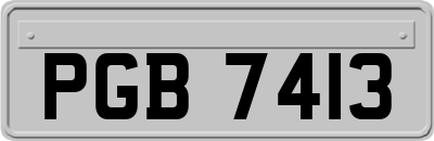 PGB7413